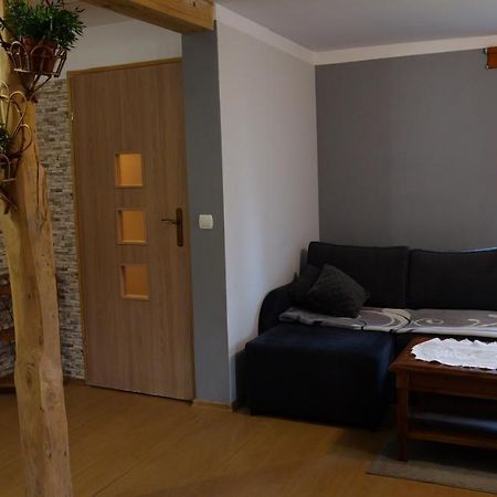 Apartamenty Lucky-Ski Ustrzyki Dolne Εξωτερικό φωτογραφία