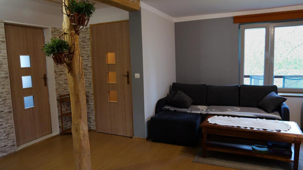Apartamenty Lucky-Ski Ustrzyki Dolne Εξωτερικό φωτογραφία